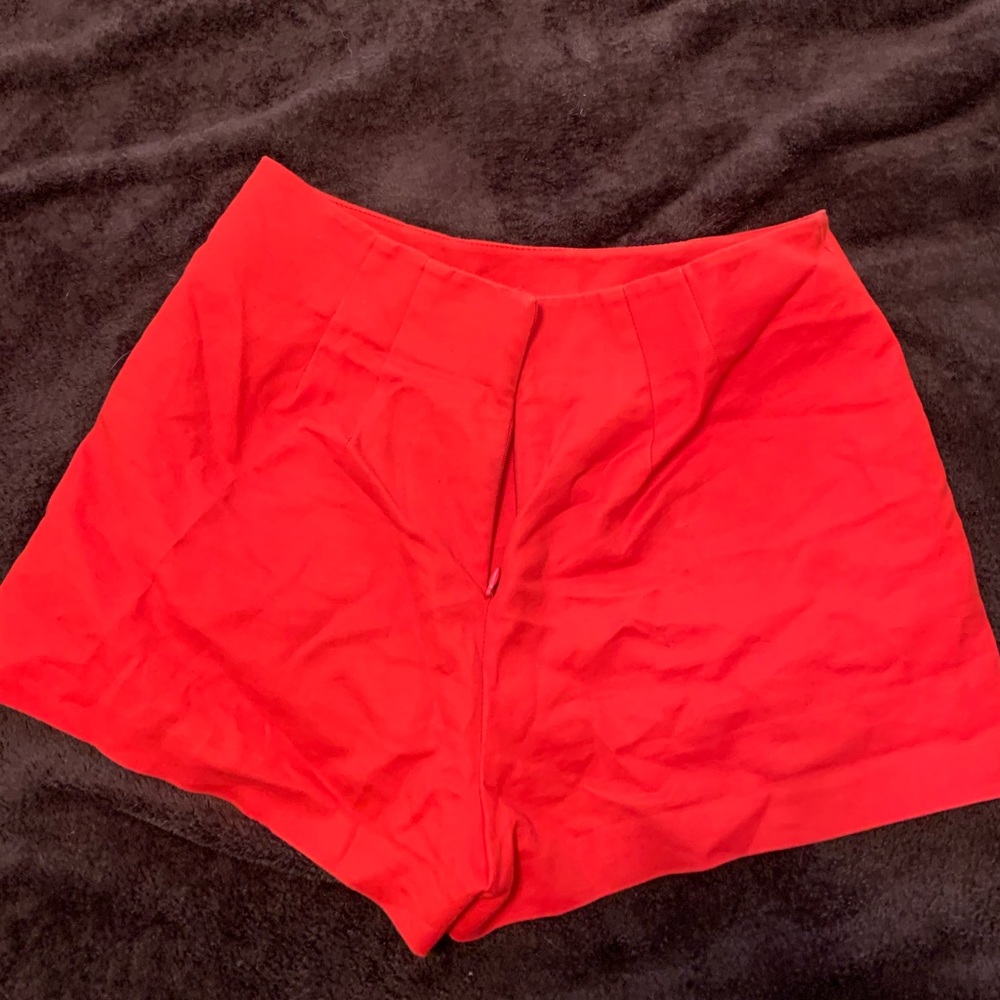 Zip in Back Shorts